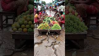 A Unique View of an Asian Market: Tropical Fruit and Exotic Snakes