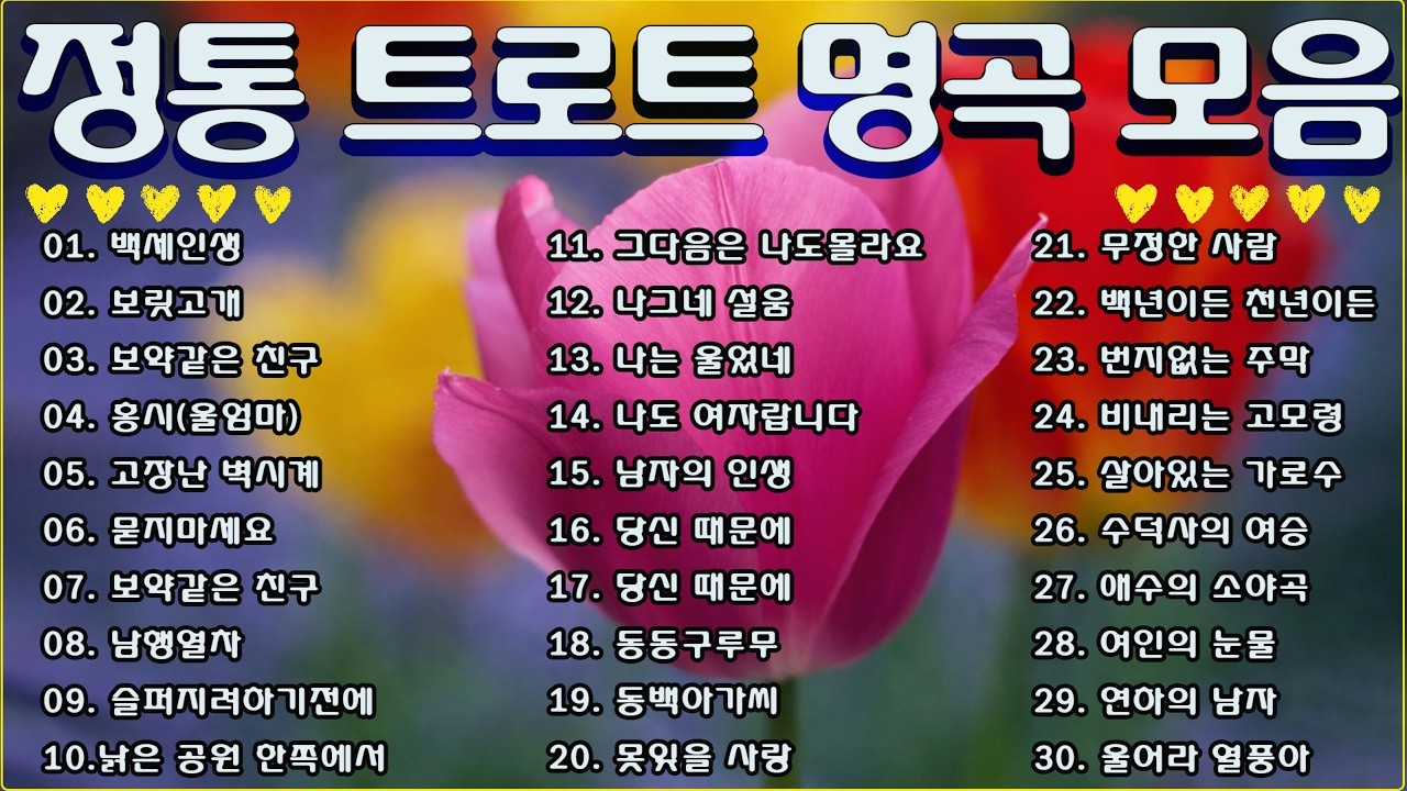 정통 트로트 명곡 모음 🎧 인생 트로트 중년·어르신을 위한 인생 노래🎧 #트로트 #인기트로트 #트로트모음 #트로트듣기 #트로트메들리