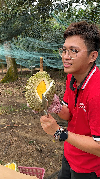 Amazing! Durian Unboxing Mater - Fruit Cutting Skills - Malacca Durian Heng
