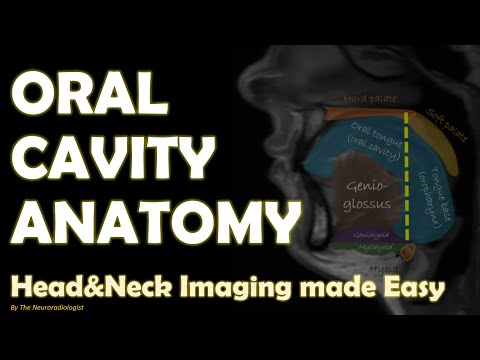 Imaging Anatomy of the Oral Cavity made Easy