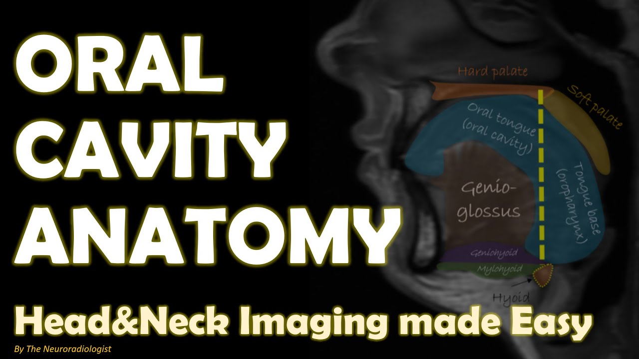 Imaging Anatomy of the Oral Cavity... made Easy