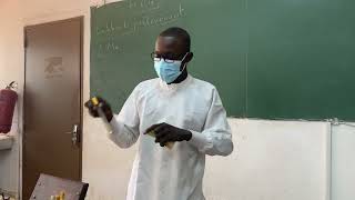 Cours Sur L La Ecbu