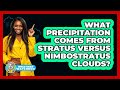 What Precipitation Comes From Stratus Versus Nimbostratus Clouds? - Weather Watchdog