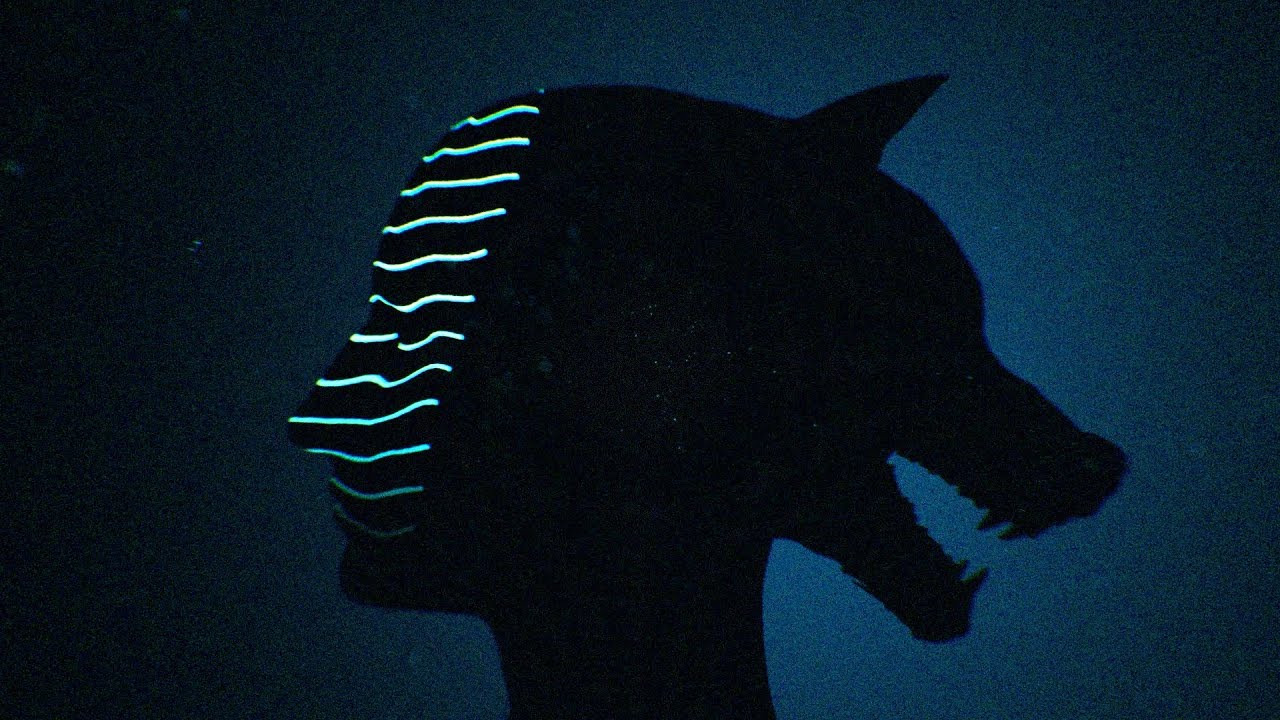 Watch MY BRIGHTEST DIAMOND | Dorian (Official Video) on YouTube Watch MY BRIGHTEST DIAMOND | Dorian (Official Video) on YouTube