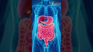 PCOD vs PCOS: Difference, Symptoms &amp; Treatment  (Part-2)| Doctor Talk | Navin Hospital