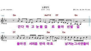 (MR)  24049  눈물방아  - 양지은