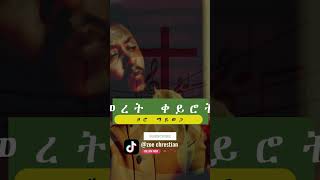 shorts teddy tadesse