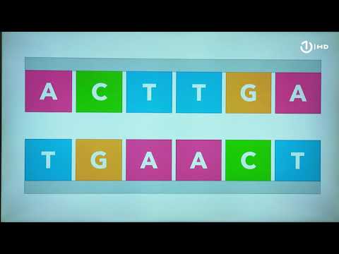 Video: Koje su dvije osnovne razlike između DNK i RNK?
