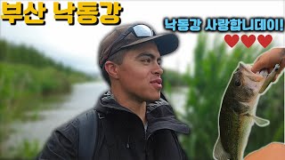 낙동강은 딱 내 스타일이네! | 부산 외국인 낚시 대회 2차전