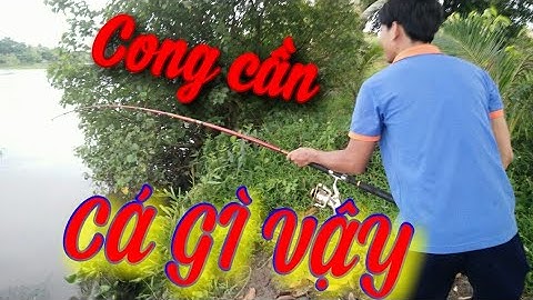 Câu cá miền tây || Buổi chiều ae Ði câu cá sông vàm cỏ tây và cái kết | Linh vlog