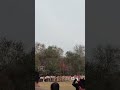 #NCC #cadets #KCW#republicday