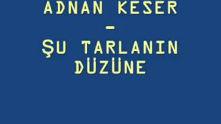 Şu Tarlanın Düzüne