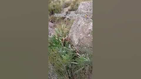 Van a poder ver lo que estaba grabando antes del accidente... || Gero Arias 🇦🇷
