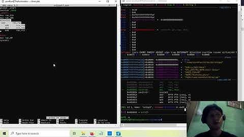 asm042-conditional mov and snippet3 XCHG RAX,RAX