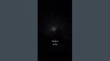 #قرآن #quran #اكسبلور #explore #قران_كريم #اكسبلور_فولو #explorepage #سورة_البقرة #اسلام_صبحي