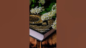 تلاوة هادئة تريح القلب ♥️#المصحف #قرآن #راحة_نفسية #قران_كريم #لايك #explore #اكسبلور