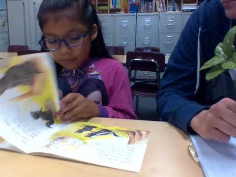 Reading Level H