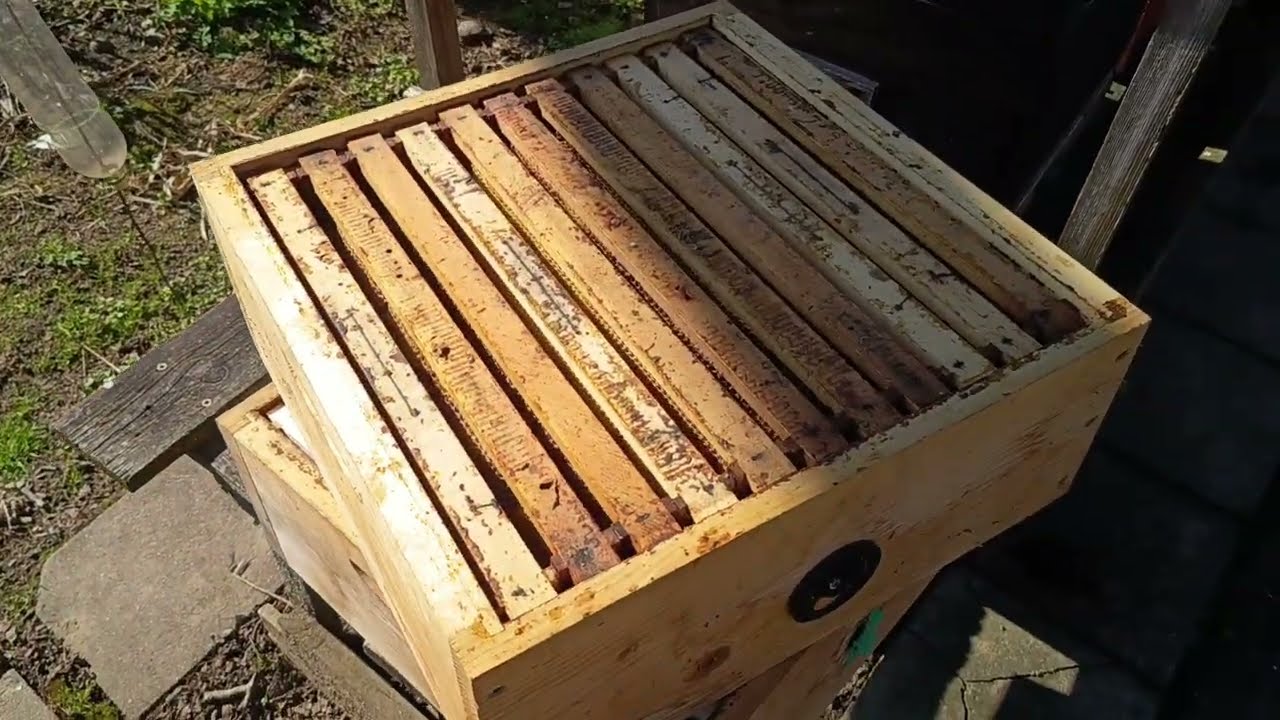 Připravuji si medníky nad plodiště včel. Kdy je nasadím a jak je dám?