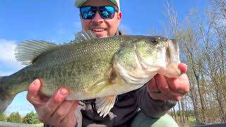 Swim Jig Bass Fishing