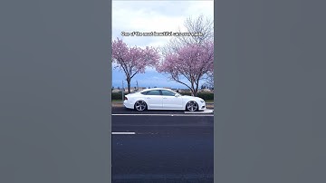 Anything else as beautiful? #audi #a7  #c7 #c8 #a4 #s4 #rs4 #a5 #s5 #a6 #s6 #s7 #rs6 #rs7 #rs3 #rs5