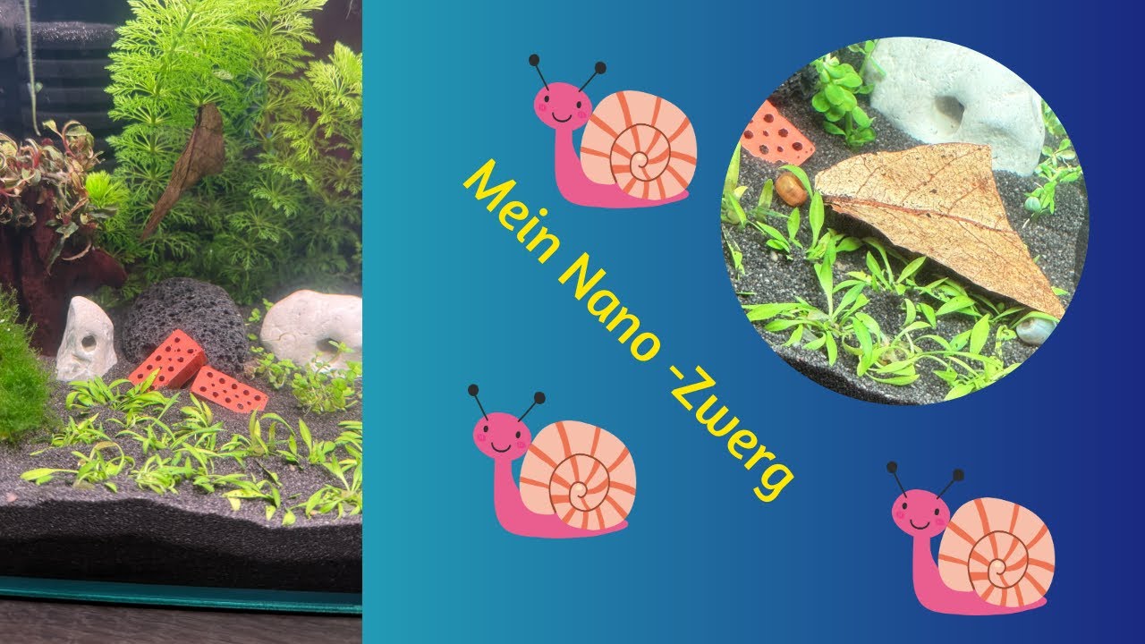 Ich stelle euch meinen 