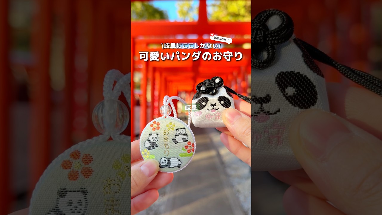 岐阜】可愛いパンダのお守りがある神社🐼 - YouTube