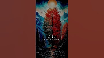 تلاوة هادئة تريح الاعصاب 🫀🥺🎧#محمد_طارق #Quran