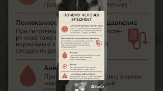 ПОЧЕМУ ЧЕЛОВЕК БЛЕДНЕЕТ ❗ #ПП #ЗОЖ #ЗДОРОВЬЕ #shorts