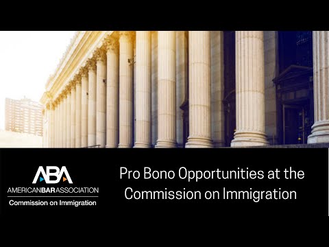 Pro Bono Opportunities at the Commission on Immigration and its Projects