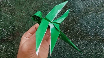 Hướng dẫn gấp chuồn chuồn giấy- fold dragonfly paper -origami