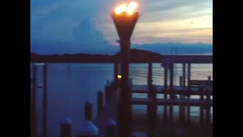 Gas Tiki Torch & Fire Pit