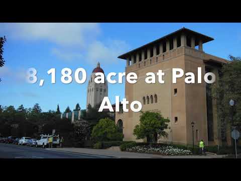 วีดีโอ: สถานที่ท่องเที่ยว พาโลอัลโต