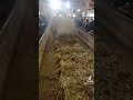трудно жить в деревне нашей