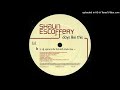 Shaun Escoffery - Days Like This (Spinna & Ticklah Mix)