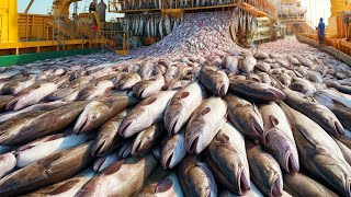 American Fishermen Catch Billions of Pounds of Seafood This Way