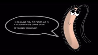 ESKAPE Bacteria and Antimicrobial Resistance