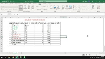 Ẩn hiện đường kẻ định dạng (đường kẻ mờ) trong excel