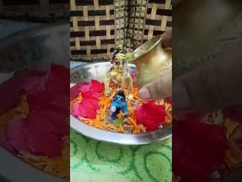 Krishnaya Vasudevaya 🙏🙏❤️🌹💚🌿 #laddu #gopal #krishna #radheradhe #viral #shortsfeed #shorts #om #gopu