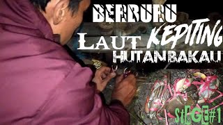 Hunting mangrove sea crabs at night..!!