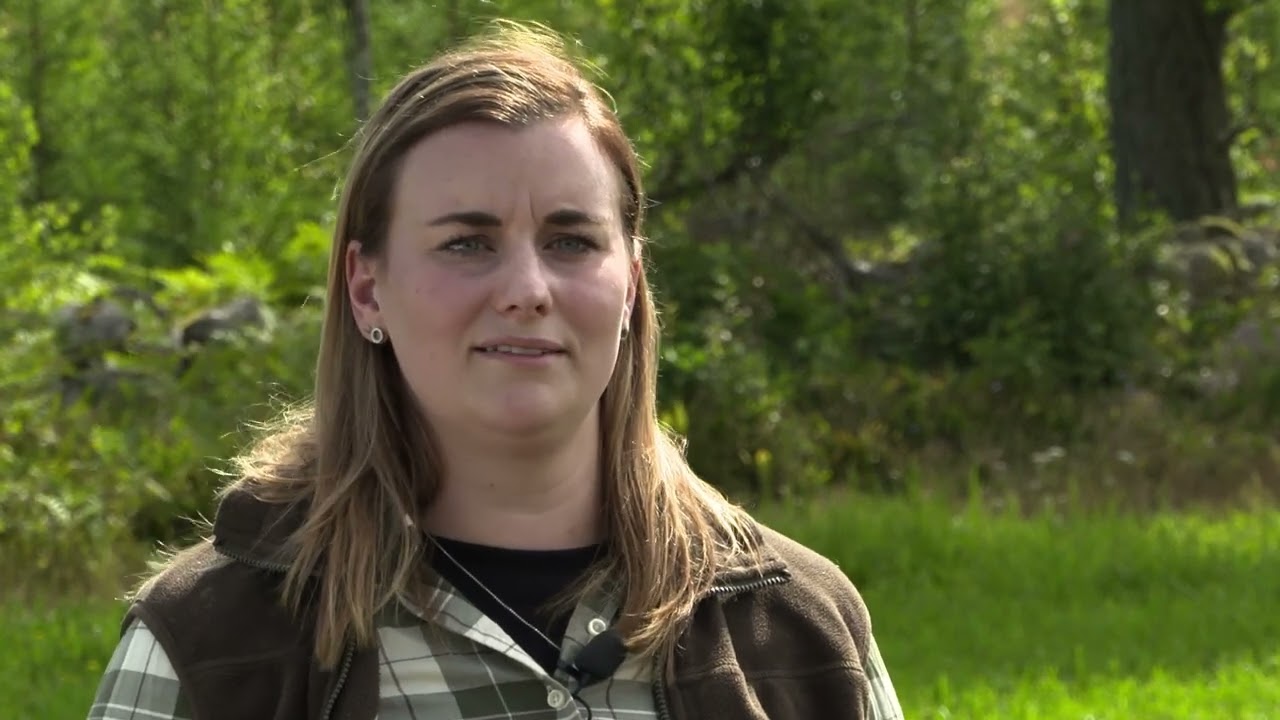 Samverkan vid viltförvaltning 1: Vad händer om vi inte samverkar?