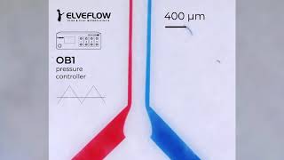 Complex flow focusing using Elveflow OB1 Pressure Controller