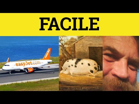 Видео: Faccilely гэж юу гэсэн үг вэ?
