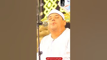 اللي هتشوفه مش مجرد تلاوة... ده إحساس حقيقي من سورة القصص #الشيخ_محمود_القزاز