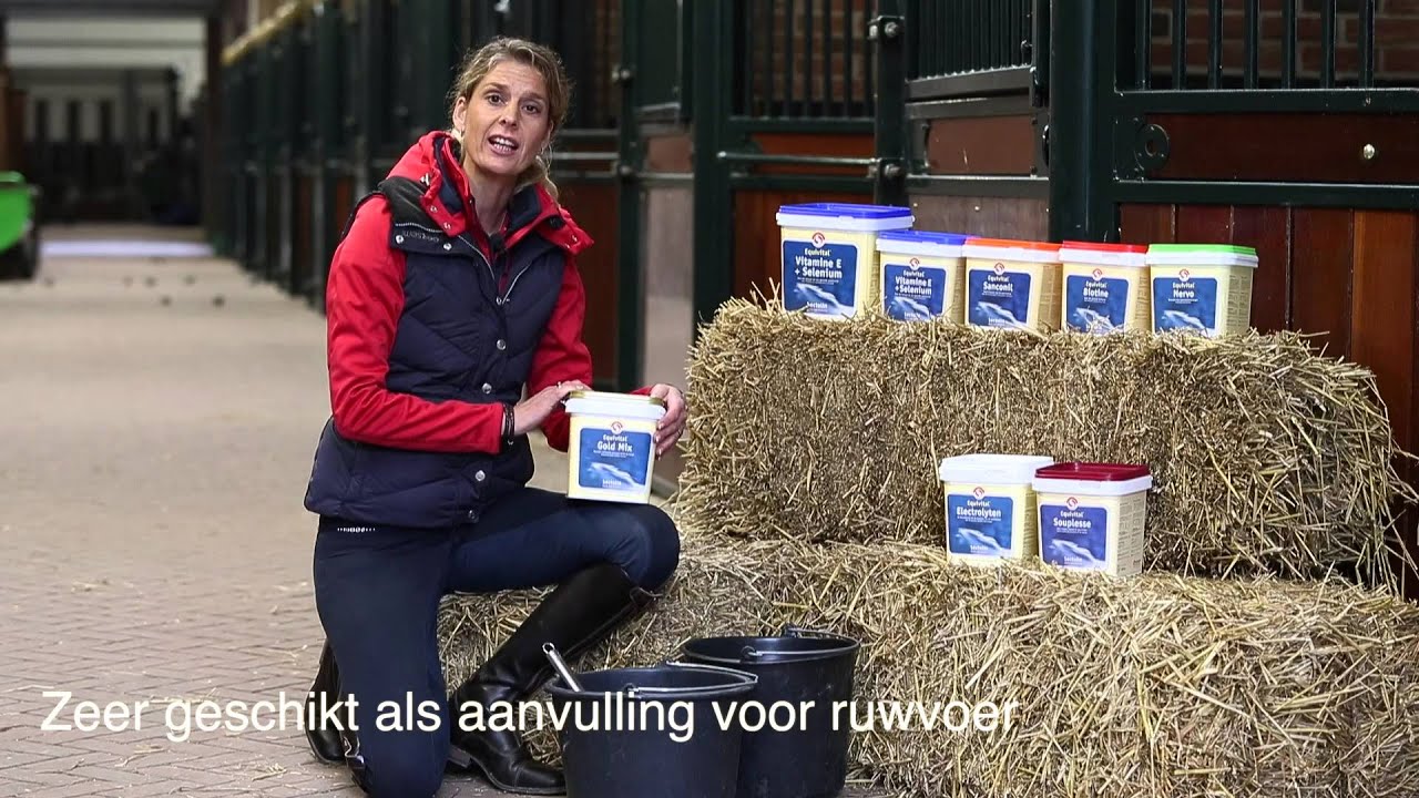 Sectolin - Equivital Gold Mix