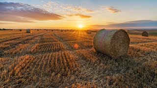 ‘The love of it’: Local Moree farmers dig into Australia’s rich farming history