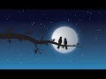 هي ليلة عمر وسيم وهبة