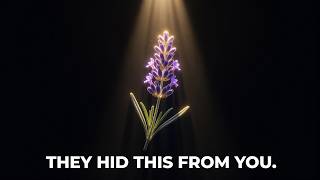 5 Forgotten Plants Ancient Cultures Used for Focus and Calm (Easy to Grow)