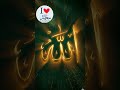 allah allah allah allah allahabad Muhammed tanvir Rox🤲🤲 🕋🕋🕋🕋🕋👳👳👳🤲🤲🤲👈👈👈👈