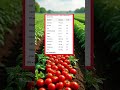 Nutrients in 100g of Tomato #yt #knowledge #education #onlineeducation #superfood #vegetableprotein
