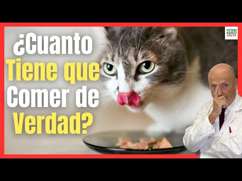 Video: 22 buenos muchachos que tienen cero ideas Cómo funcionan las correas